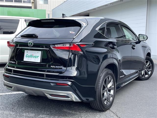 NX NX300h バージョンL(38枚目)