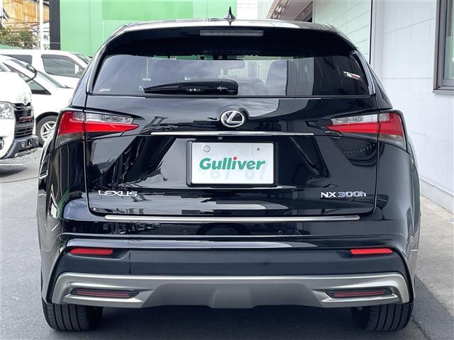 NX NX300h バージョンL(40枚目)
