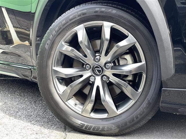 NX NX300h バージョンL(41枚目)