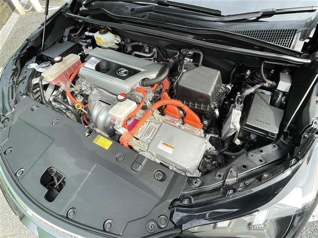 NX NX300h バージョンL(43枚目)