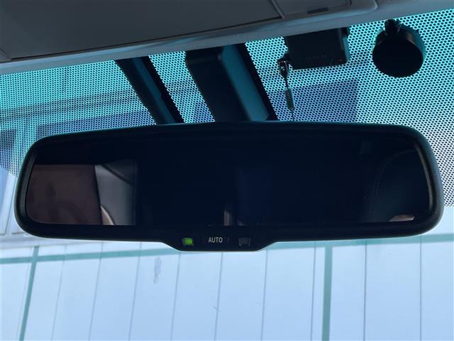 アルファード ２４０Ｓ　タイプゴールド（12枚目）