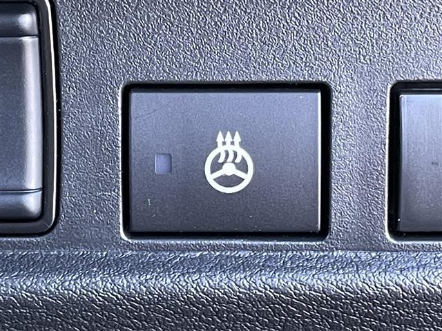 デリカミニ Ｇ　プレミアム（9枚目）