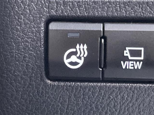 ＮＸ ＮＸ３００　Ｆスポーツ（4枚目）