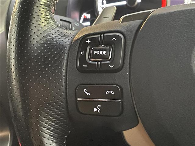 ＮＸ ＮＸ３００　Ｆスポーツ（20枚目）