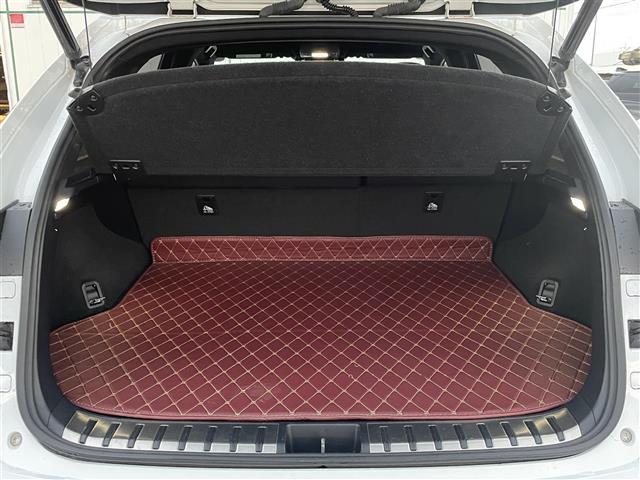 ＮＸ ＮＸ３００　Ｆスポーツ（28枚目）