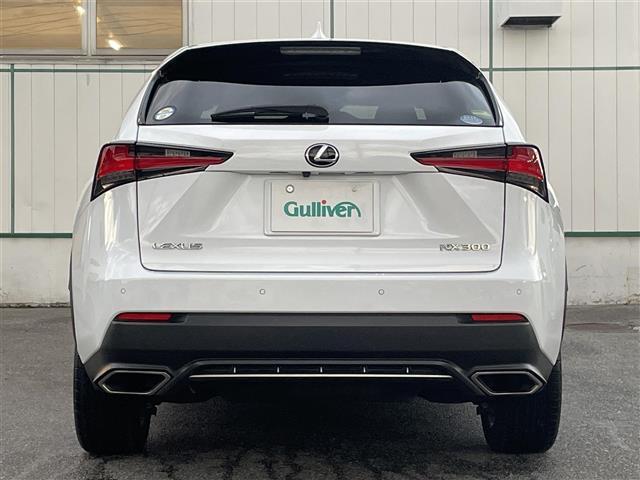 ＮＸ ＮＸ３００　Ｆスポーツ（30枚目）