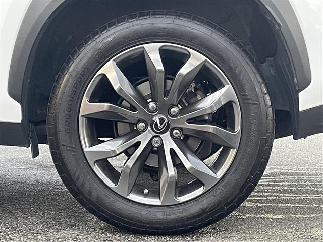 ＮＸ ＮＸ３００　Ｆスポーツ（39枚目）