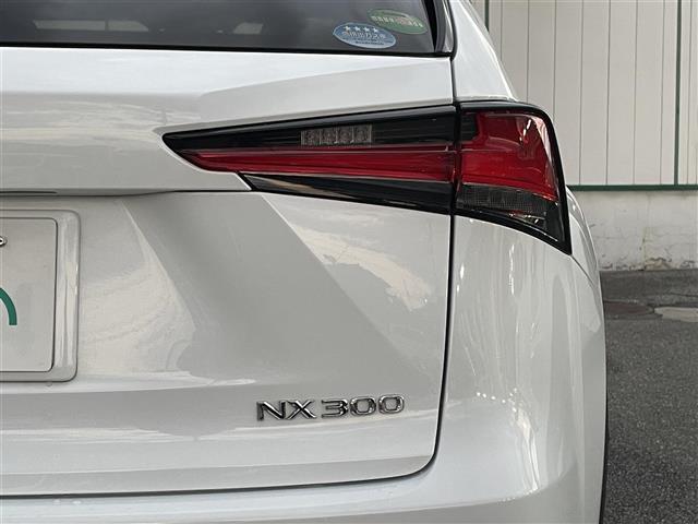 ＮＸ ＮＸ３００　Ｆスポーツ（40枚目）