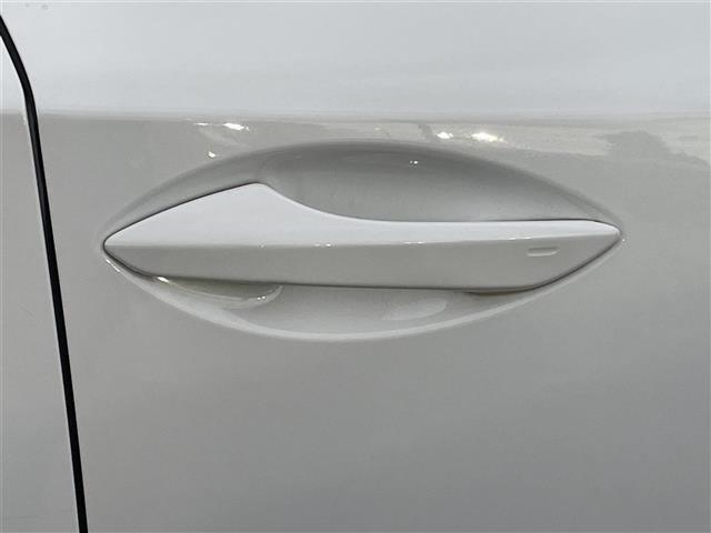 ＮＸ ＮＸ３００　Ｆスポーツ（41枚目）