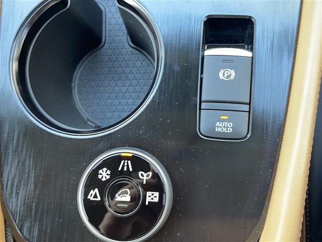 エクストレイル Ｇ　ｅ－４ＯＲＣＥ　ディスプレイオーディオ　Ｂｌｕｅｔｏｏｔｈ　ＵＳＢ入力端子　全方位カメラ　フルセグＴＶ　ＥＴＣ　前後ドライブレコーダー　ＢＳＭ　レーダークルーズコントロール　ＢＯＳＥサウンド　ヘッドアップディスプレイ（32枚目）