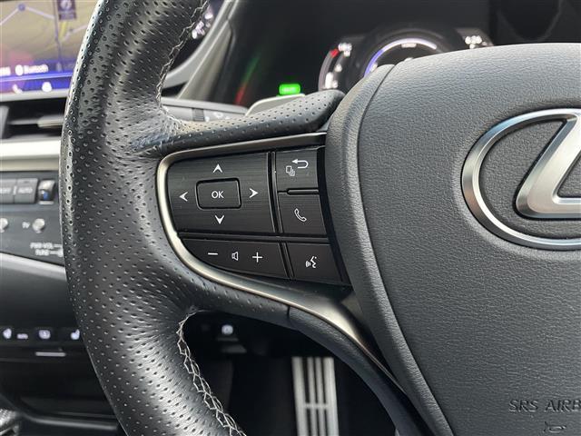 ＥＳ ＥＳ３００ｈ　Ｆスポーツ　サンルーフ　革シート　Ｒクルーズ　純正ナビ（16枚目）