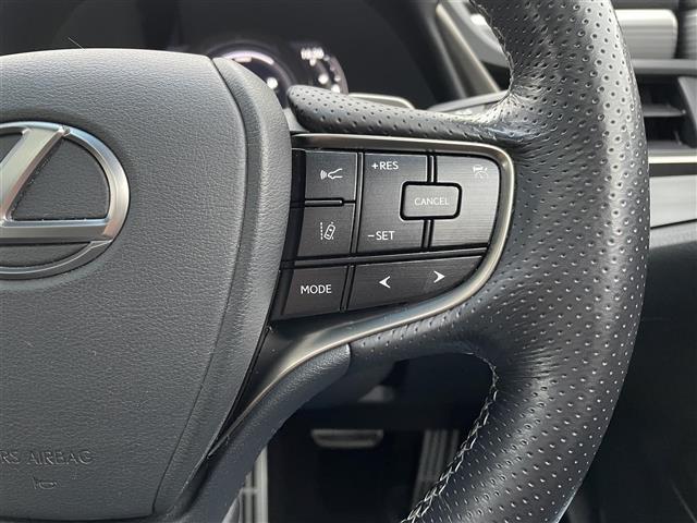 ＥＳ ＥＳ３００ｈ　Ｆスポーツ　サンルーフ　革シート　Ｒクルーズ　純正ナビ（17枚目）