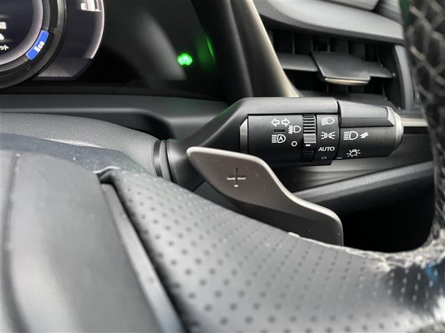 ＥＳ ＥＳ３００ｈ　Ｆスポーツ　サンルーフ　革シート　Ｒクルーズ　純正ナビ（18枚目）