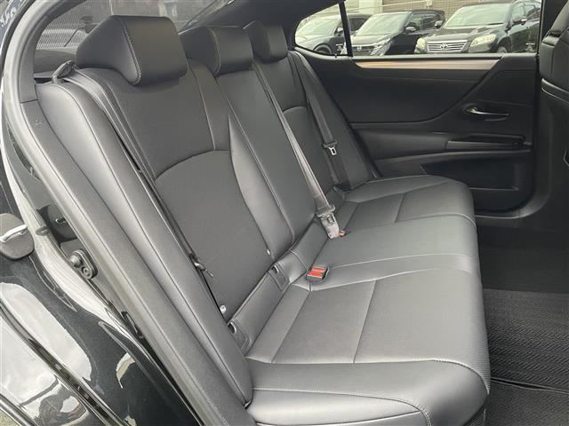 ＥＳ ＥＳ３００ｈ　Ｆスポーツ　サンルーフ　革シート　Ｒクルーズ　純正ナビ（34枚目）