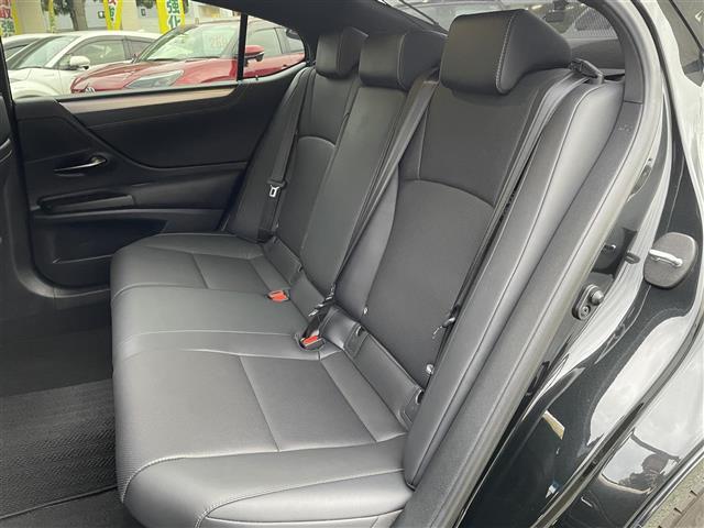 ＥＳ ＥＳ３００ｈ　Ｆスポーツ　サンルーフ　革シート　Ｒクルーズ　純正ナビ（36枚目）