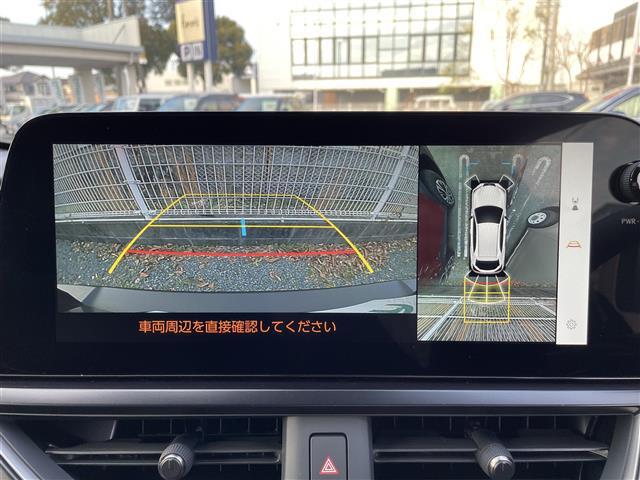 ＵＸ ＵＸ２５０ｈ　グレイスフル　エクスプローラー　１オーナー　革シート　純正ナビ　全方位Ｃ　ＥＴＣ（4枚目）