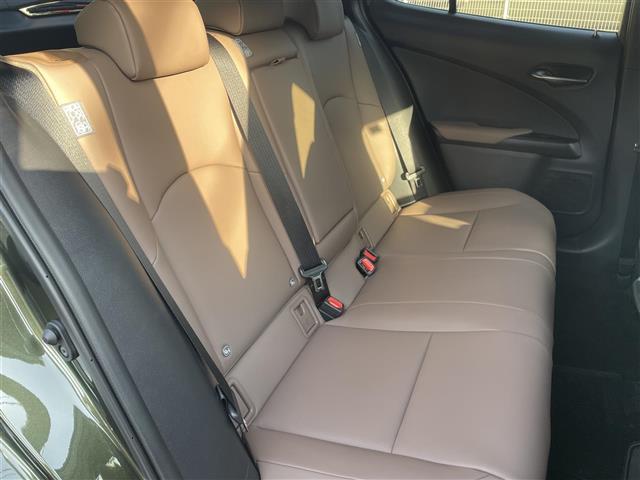 ＵＸ ＵＸ２５０ｈ　グレイスフル　エクスプローラー　１オーナー　革シート　純正ナビ　全方位Ｃ　ＥＴＣ（33枚目）