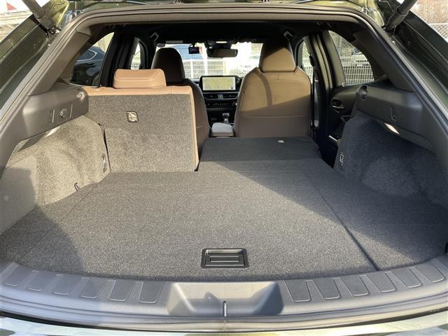 ＵＸ ＵＸ２５０ｈ　グレイスフル　エクスプローラー　１オーナー　革シート　純正ナビ　全方位Ｃ　ＥＴＣ（38枚目）