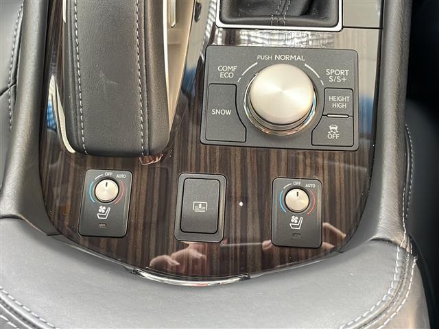 LS LS460 バージョンC Iパッケージ 純正メモリナビ フルセグTV SD/DVD/CD/USB/AUX/BT バックカメラ ウィンカーミラー BSM オットマン クルーズコントロール ドアバイザー プッシュスタート ETC2.0(26枚目)
