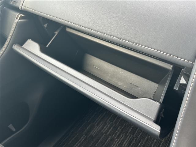 アルファード Z /禁煙車/ワンオーナー/14インチHDディスプレイ/ナビ付/フルセグTV/左右独立ムーンルーフ/黒革シート/デジタルインナーミラー/ビルトインETC2.0/両側パワスラ/パワーバックドア/純正18AW(22枚目)