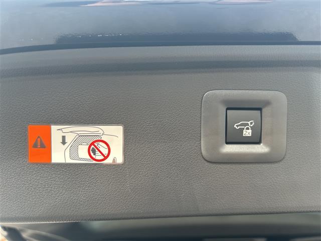 アルファード Z /禁煙車/ワンオーナー/14インチHDディスプレイ/ナビ付/フルセグTV/左右独立ムーンルーフ/黒革シート/デジタルインナーミラー/ビルトインETC2.0/両側パワスラ/パワーバックドア/純正18AW(28枚目)