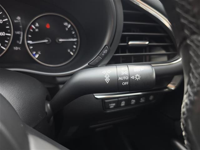 ＭＡＺＤＡ３セダン ２０Ｓプロアクティブ　ワンオーナー／純正ナビ／３６０°ビューモニター／クルーズコントロール／ステアリングスイッチ／パーキングセンサー／電子パーキング／フルセグＴＶ／Ｂｌｕｅｔｏｏｔｈ／ＵＳＢ／ＨＤＭＩ／ＣＤ／ＤＶＤ（29枚目）