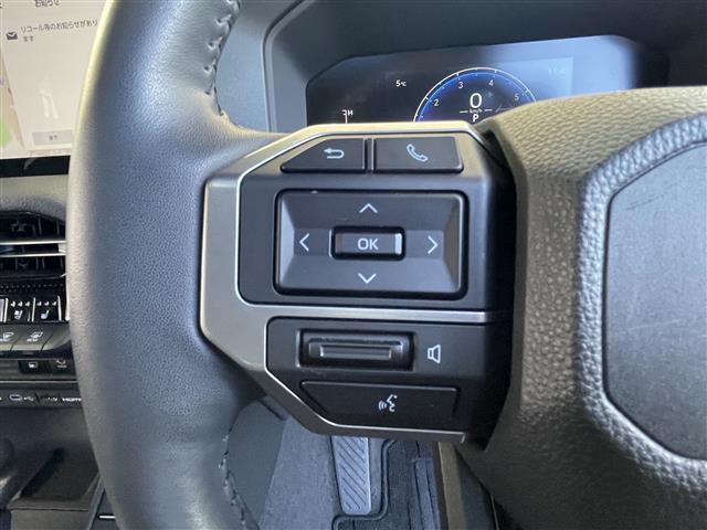 ランドクルーザー250 VX ワンオーナー 禁煙 OP丸目LEDライト ZX20インチアルミ サンルーフ 黒レザー シートヒーター/クーラー パワーバックドア パノラミックビューモニター デジタルミラー 衝突軽減 追従クルコン(24枚目)