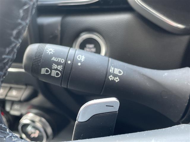 キャプチャー インテンス テックパック 純ディスプレイ360度カメラルーフレール(7枚目)