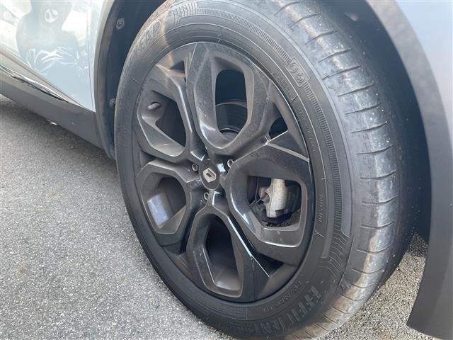 キャプチャー インテンス テックパック 純ディスプレイ360度カメラルーフレール(20枚目)