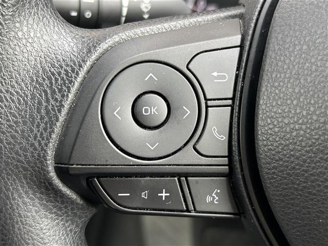 ＲＡＶ４ Ｘ　ワンオーナー　ＯＰ１８インチアルミホイール　寒冷地仕様　バックカメラ　バックガイドモニター　社外サイドステップ　社外バンパーガード積み込み　ディスプレイオーディオ８型　ナビ対応　フルセグ　ＡＣＣ（8枚目）