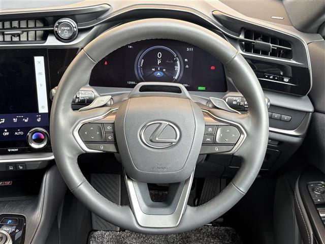 ＲＺ ＲＺ３００ｅ　バージョンＬ　パノラマルーフ（ルーフシェードあり）　マークレビンソン　デジタルインナーミラー　アドバンスドパーク　パーキングサポートブレーキ　おくだけ充電　充電ケーブル　１４インチタッチディスプレイ＋　カードキー（10枚目）