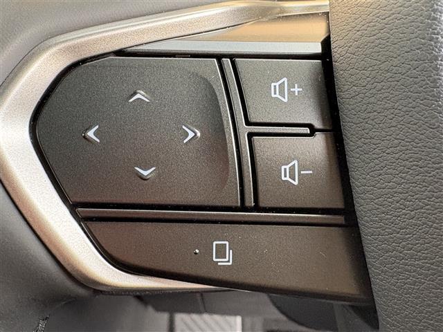 ＲＺ ＲＺ３００ｅ　バージョンＬ　パノラマルーフ（ルーフシェードあり）　マークレビンソン　デジタルインナーミラー　アドバンスドパーク　パーキングサポートブレーキ　おくだけ充電　充電ケーブル　１４インチタッチディスプレイ＋　カードキー（11枚目）