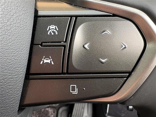 ＲＺ ＲＺ３００ｅ　バージョンＬ　パノラマルーフ（ルーフシェードあり）　マークレビンソン　デジタルインナーミラー　アドバンスドパーク　パーキングサポートブレーキ　おくだけ充電　充電ケーブル　１４インチタッチディスプレイ＋　カードキー（12枚目）