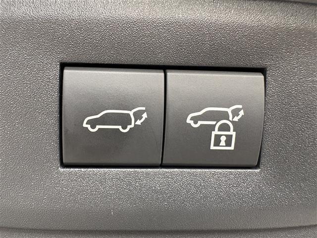 ＲＺ ＲＺ３００ｅ　バージョンＬ　パノラマルーフ（ルーフシェードあり）　マークレビンソン　デジタルインナーミラー　アドバンスドパーク　パーキングサポートブレーキ　おくだけ充電　充電ケーブル　１４インチタッチディスプレイ＋　カードキー（18枚目）