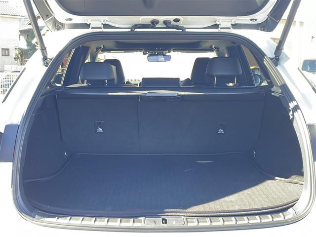 ＲＸ ＲＸ５００ｈ　Ｆスポーツパフォーマンス　１オーナー／パノラマルーフ／ルーフレール／純正１４型ＤＡプラス／パノラミックビュー／ＥＴＣ２．０／デジタルインナーミラー／全席シートベンチレーション／全席パワーシート／パワーバックドア（24枚目）