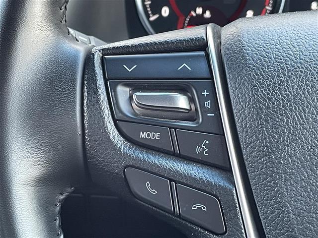 アルファード ２．５Ｓ　タイプゴールド　ワンオーナー／サンルーフ／純正１２．１インチフリップダウンモニター／純正９インチコネクティットナビ／バックカメラ／黒ハーフレザー／両側パワスラ／クリアランスソナー／ＥＴＣ／レーダークルーズコントロール（31枚目）