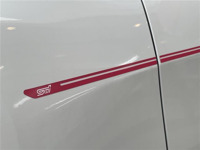 レヴォーグ ２．０ＳＴＩスポーツアイサイト　ワンオーナー／４ＷＤ／ＢＩＬＳＴＥＩＮダンパー／ＨＫＳマフラー／ＤＩＡＴＯＮＥナビ／地デジＴＶ／フロント・サイド・バックカメラ／デジタルミラー／革シート／シートヒーター／純正ＡＷ（26枚目）