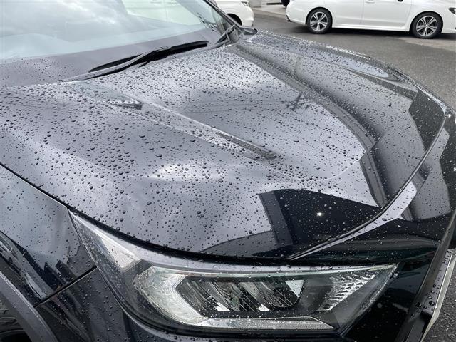 ＲＡＶ４ アドベンチャー　オフロードパッケージ　４ＷＤ純正ホイールウィンカーミラークルーズコントロール運転席電動シートドアバイザープッシュスタートＥＴＣ２．０Ｂｌｕｅｔｏｏｔｈブレーキホールド電動パーキングブレーキ走行モード（32枚目）