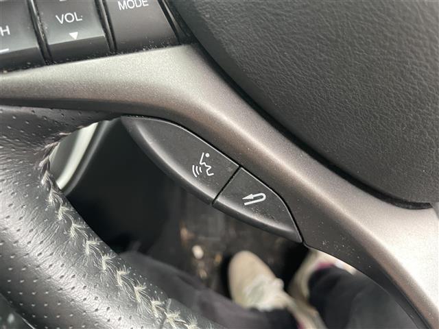 ストリーム RSZ HDDナビ社外ホイールスタッドレスタイヤドアバイザーETC純正フロアマットアルパインフリップダウンモニターハンズフリーステアリングスイッチ(7枚目)