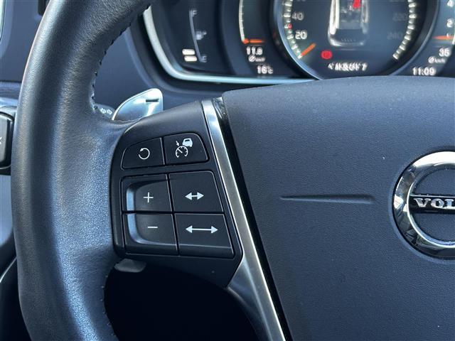 Ｖ４０ クロスカントリー　Ｔ５　ＡＷＤ（15枚目）