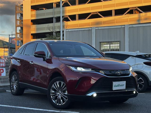 ���̓x�̓K���o�[�̍݌ɂ����������܂��āA�L��������܂��B