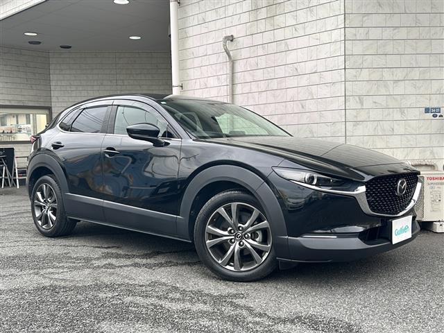 ＣＸ－３０ Ｘ　Ｌパッケージ　４ＷＤ　純正ナビ　Ｂカメラ　衝突軽減　レーンキープ　ＢＳＭ　オートハイビーム　クルコン　革シート　パワーシート　シートヒーター　ハンドルヒーター　ＥＴＣ　前後ドラレコ　電動リアゲート　スペアキー（24枚目）