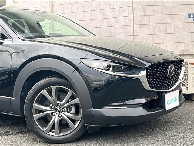 ＣＸ－３０ Ｘ　Ｌパッケージ　４ＷＤ　純正ナビ　Ｂカメラ　衝突軽減　レーンキープ　ＢＳＭ　オートハイビーム　クルコン　革シート　パワーシート　シートヒーター　ハンドルヒーター　ＥＴＣ　前後ドラレコ　電動リアゲート　スペアキー（25枚目）