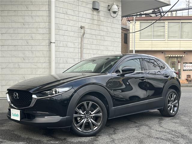 ＣＸ－３０ Ｘ　Ｌパッケージ　４ＷＤ　純正ナビ　Ｂカメラ　衝突軽減　レーンキープ　ＢＳＭ　オートハイビーム　クルコン　革シート　パワーシート　シートヒーター　ハンドルヒーター　ＥＴＣ　前後ドラレコ　電動リアゲート　スペアキー（33枚目）