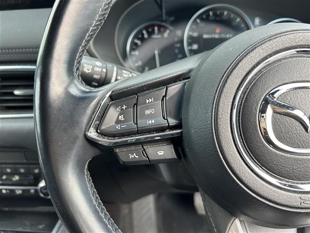 ＣＸ－８ ２５Ｓ　Ｌパッケージ　衝突軽減ブレーキ／サンルーフ／純正ナビ／地デジＴＶ／Ｂｌｕｅｔｏｏｔｈ／ＢＯＳＥスピーカー／黒レザーシート／シートヒーター／エアシート／アクティブドライビングディスプレイ／ステアリングヒーター／ＢＳＭ（20枚目）