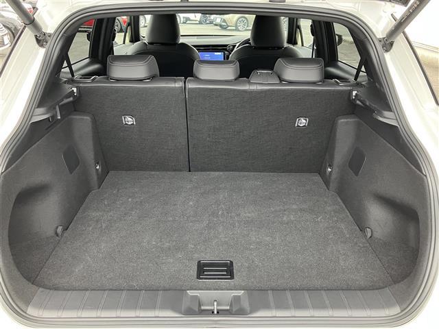 LBX リラックス LexusSafetySystem + 純正ナビ 全方位カメラ パワーバックドア 黒革シート アドバンスドライブ  D席パワーシート(メモリ機能付き) ドライブレコーダー前後 ETC2.0 PKSB(37枚目)