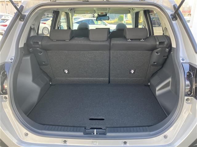 ライズ Ｚ　ワンオーナー　純正ナビ　デジタルインナーミラー　フルセグ　ＢＴ　ＤＶＤ再生　ＣＤ録音　ＨＤＭＩ　全方位モニター　バックカメラ　スマートアシスト　シートヒーター　プッシュスタート　ＬＥＤヘッドライト（35枚目）