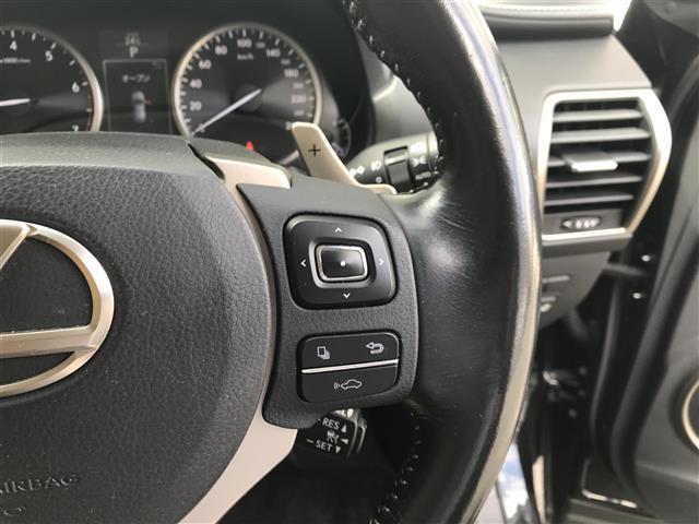 NX NX200t ナビTV LEDライト キーレス DVD再生 メモリーナビ 電動シート 横滑り防止機能 Iストップ Bカメラ 前席シートヒーター スマートキー ETC オートエアコン クリアランスソナー ドラレコ(24枚目)