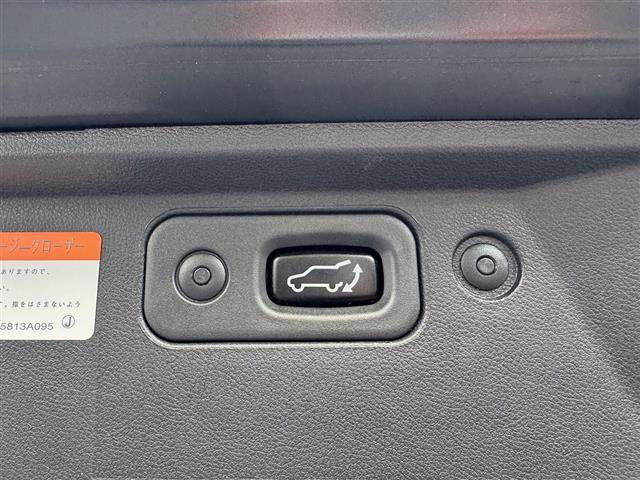 デリカD:5 G パワーパッケージ(23枚目)