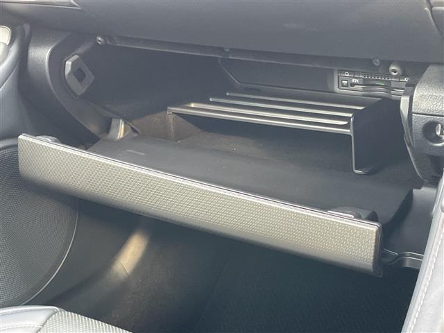 RC RC300h Fスポーツ レーダークルーズコントロール シートベンチレーター シートヒーター 純正ナビ フルセグTV Bluetooth DVD再生可 MSV バックカメラ ブラックレザーシート LEDヘッドランプ(12枚目)